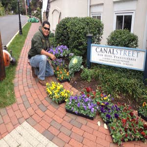 Installing Spring Flowers