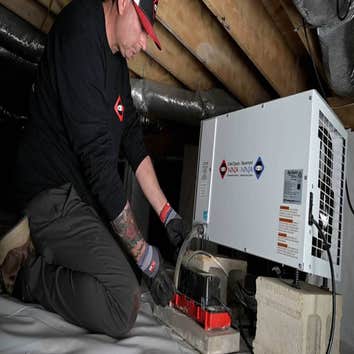 Crawl Space Ninja of Delaware