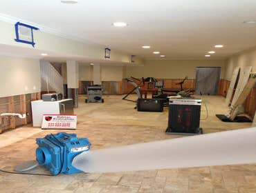 Mold Remediation Long Island