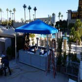 Luxor Pool Bar