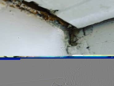Photos from Ifixit Handyman Services