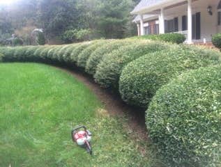 Photos by Don Cele Landscaping #1