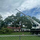 Aable John's Tree Service