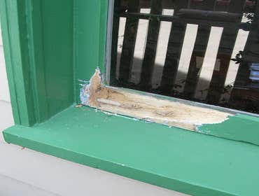 Rot in a window frame