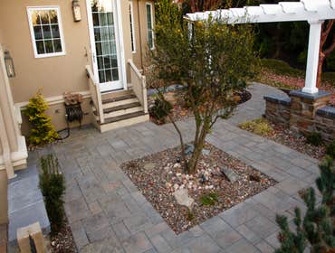 Landscape & Planting