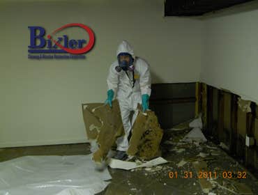 carpet cleaning