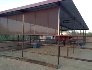 Sunscreens for Horses