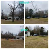 Photos by Neighbor Tree Service & More LLC #4