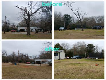 Photos by Neighbor Tree Service & More LLC #4