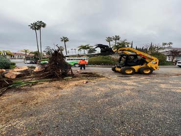 Photos by California Green Tree Care #1