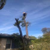 Photos by JOE'S Tree Service and Landscaping #4
