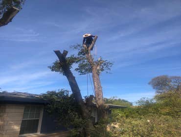 Photos by JOE'S Tree Service and Landscaping #4