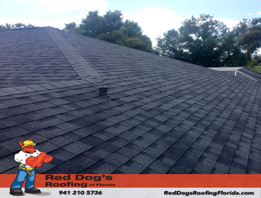 Photos by Red dog's Roofing of Florida #1