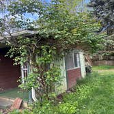 Photos by Tmk Innovations LLC #3 Full yard debris removal and clean up with roof clean and moss removal
