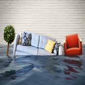 Topline Damage Restoration Denver