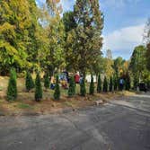 Photos by vs Landscaping LLC #6