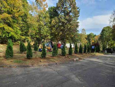 Photos by vs Landscaping LLC #6