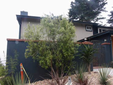 Casitas Ave Home Remodel