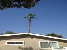 Inexpensve Tree Services Inc Project 1 These are images of work we done these are the type of services we offer:
tree trimming
tree removal
stump rem