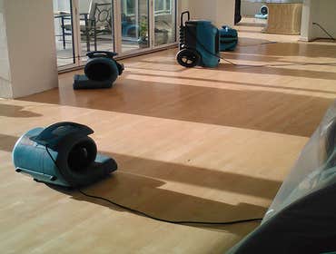 Photos by Green Restoration Solutions #1