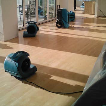 Photos by Green Restoration Solutions #1