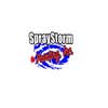 Spraystorm Painting Inc logo