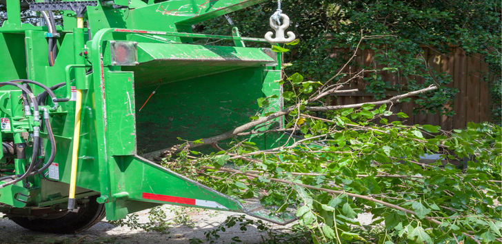 Photos by City on the Move Tree Service #1