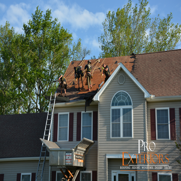 Pro Exteriors