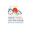 Advance Pristine Painting logo