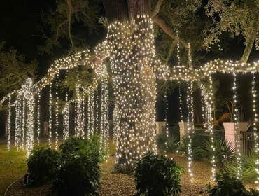 Photos by Pure Holiday Lighting #1