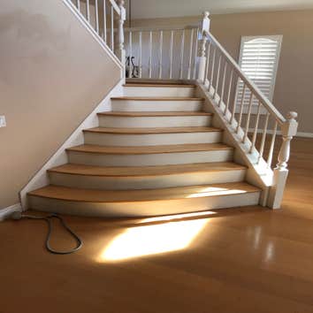 Sand, Stain, and Finish Maple Flooring