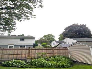 Photos by Yandi's Tree Service #1
