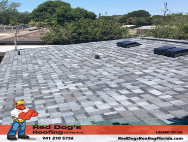 Photos by Red dog's Roofing of Florida #1