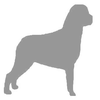 Big Dog Electric LLC logo