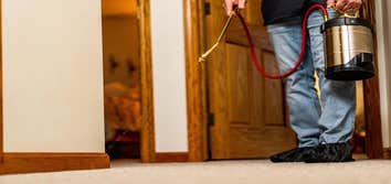Prevent Pests