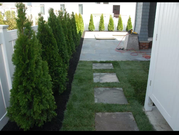 vetnor city nj