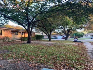 Photos by K-perez Tree Services #1