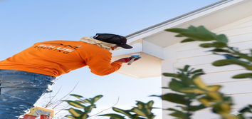 Solus Roofing