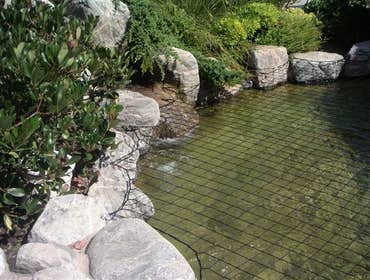 Photos from Aqua Net
