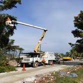 Jireh Tree Care LLC