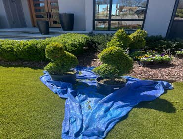 Photos by Hernandez ASSOC. Landscaping