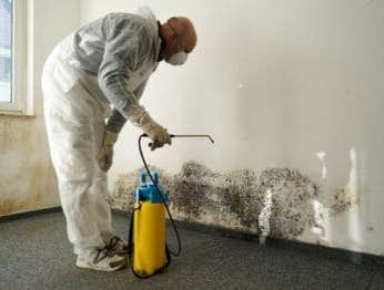 Photos by Mold Removal Lakewood #1