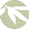 Bamboo Revolution logo