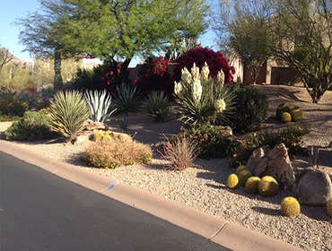 Landscaping