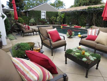Photos by Suzanne Arca Design #1