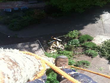 Photo(s) from Justin L Foss Tree Service