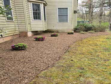 Photos by Green Point Tree Services & Landscaping #12