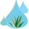 Irrigation Management Services logo