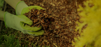 Epic Landscaping & Tree Service, LLC