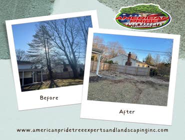 Photos by American Pride Tree Experts & Landscaping Inc #68
